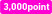 3000point