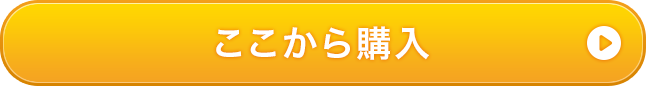 ここから購入